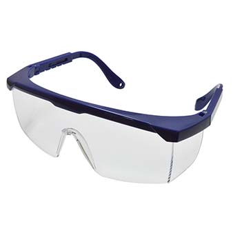 <div>
	Safety Spectacles, Clear Lens, Blue Frame</div>
