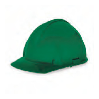 <p>
	MSA Topgard® Protective Caps - Green</p>
