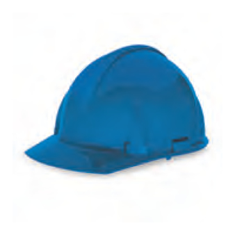 <p>
	MSA Topgard® Protective Caps - Blue</p>
